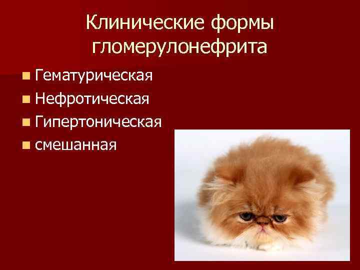 Клинические формы гломерулонефрита n Гематурическая n Нефротическая n Гипертоническая n смешанная 