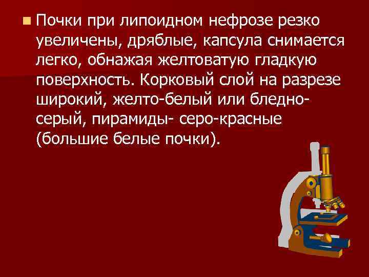 n Почки при липоидном нефрозе резко увеличены, дряблые, капсула снимается легко, обнажая желтоватую гладкую