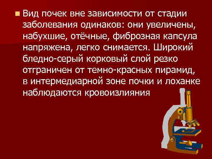 n Вид почек вне зависимости от стадии заболевания одинаков: они увеличены, набухшие, отёчные, фиброзная
