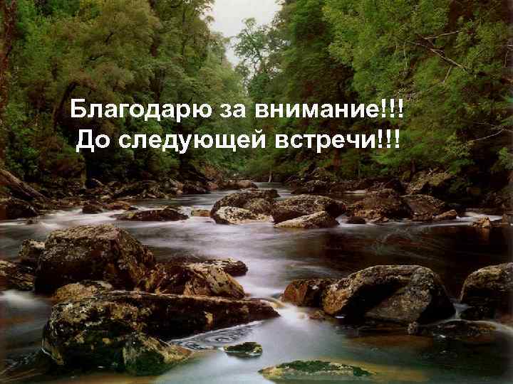 Благодарю за внимание!!! До следующей встречи!!! 