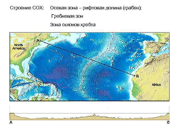 Строение СОХ: Осевая зона – рифтовая долина (грабен); Гребневая зон Зона склонов хребта 