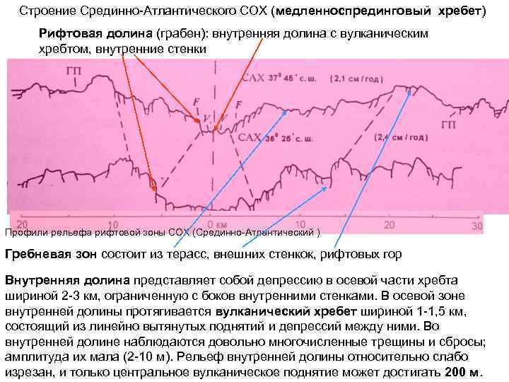 Строение Срединно-Атлантического СОХ (медленноспрединговый хребет) Рифтовая долина (грабен): внутренняя долина с вулканическим хребтом, внутренние