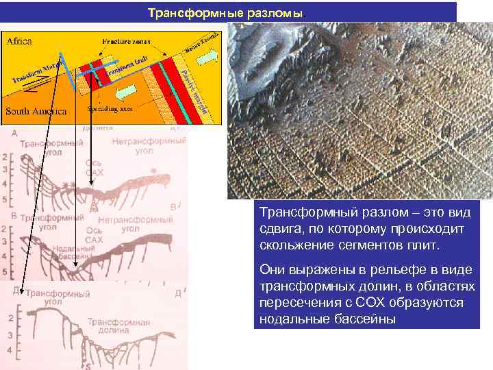 Трансформные разломы. Трансформный разлом – это вид сдвига, по которому происходит скольжение сегментов плит.