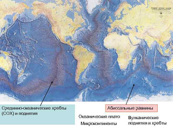 Срединно-океанические хребты (СОХ) и поднятия Абиссальные равнины Океанические плато Микроконтиненты Вулканические поднятия и хребты