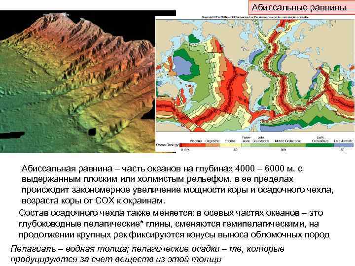 Абиссальные равнины Абиссальная равнина – часть океанов на глубинах 4000 – 6000 м, с