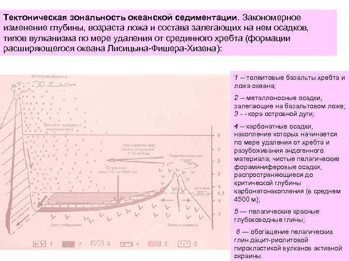 Тектоническая зональность океанской седиментации. Закономерное изменение глубины, возраста ложа и состава залегающих на нем