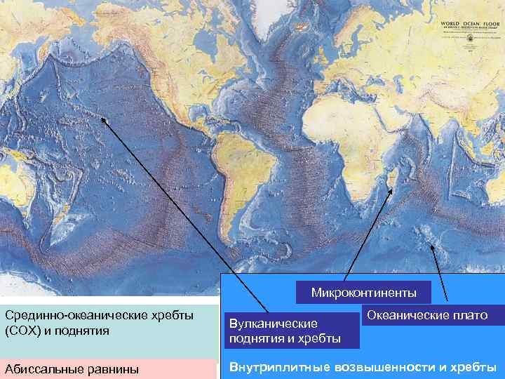 Микроконтиненты Срединно-океанические хребты (СОХ) и поднятия Абиссальные равнины Вулканические поднятия и хребты Океанические плато