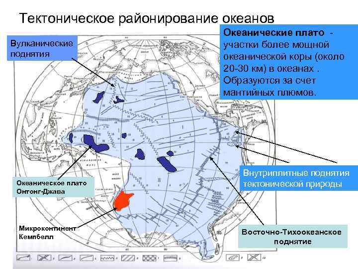 Западное плато австралии в тектоническом плане это