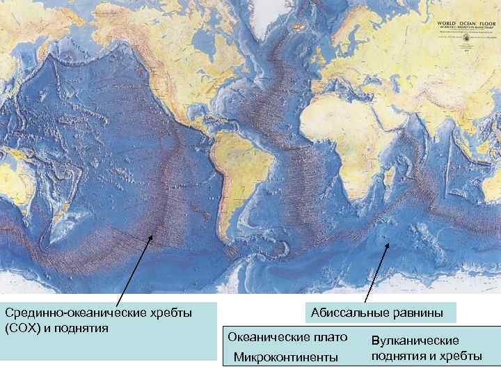 Срединно-океанические хребты (СОХ) и поднятия Абиссальные равнины Океанические плато Микроконтиненты Вулканические поднятия и хребты