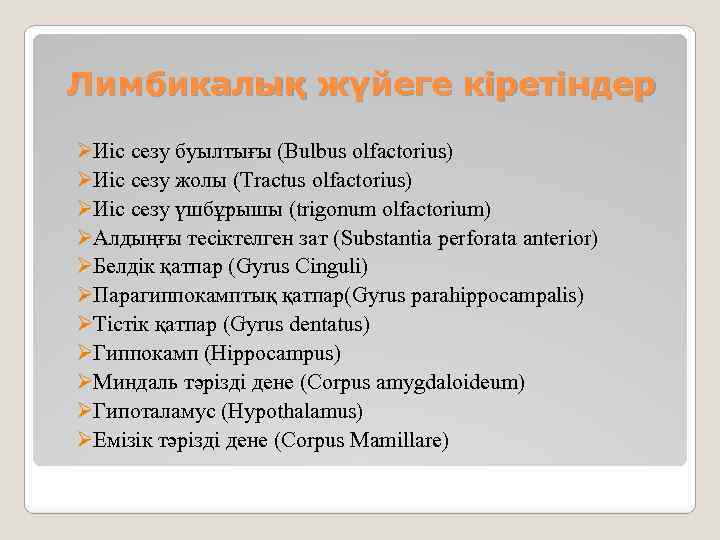 Лимбикалық жүйеге кіретіндер ØИіс сезу буылтығы (Bulbus olfactorius) ØИіс сезу жолы (Tractus olfactorius) ØИіс
