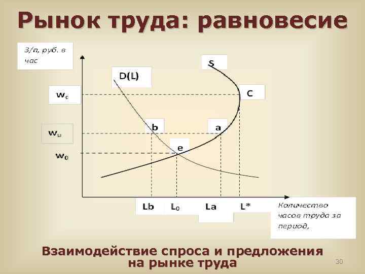 Рынок труда: равновесие Взаимодействие спроса и предложения на рынке труда 30 