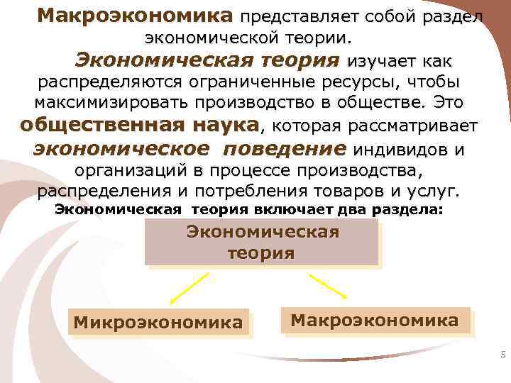 Разделы экономики. Что представляет собой макроэкономика. Макроэкономика - раздел экономической теории, изучающий:. Макроэкономика как раздел экономической теории. Макроэкономика как раздел экономической теории изучает.