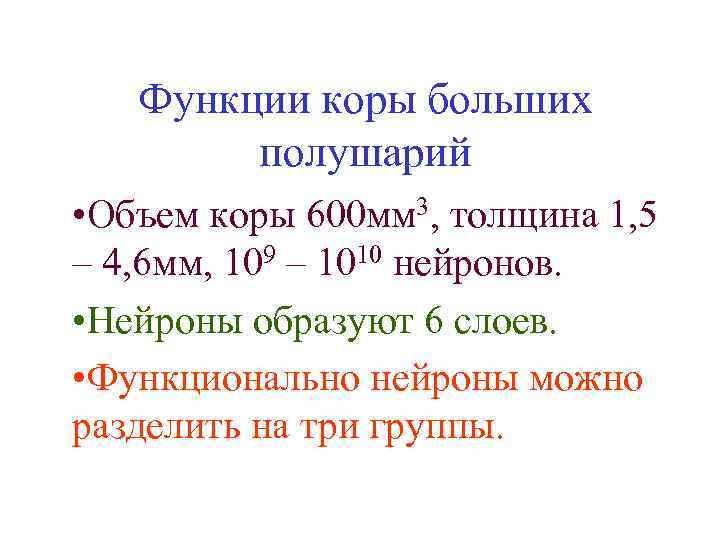 Функции коры больших полушарий • Объем коры 600 мм 3, толщина 1, 5 –