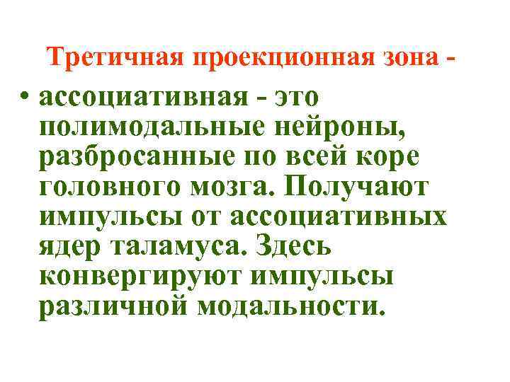 Третичная проекционная зона - • ассоциативная - это полимодальные нейроны, разбросанные по всей коре