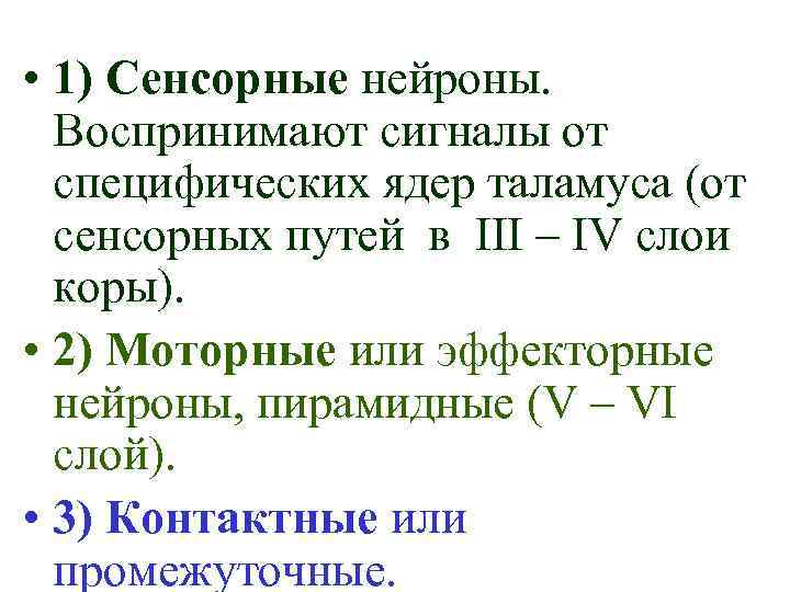  • 1) Сенсорные нейроны. Воспринимают сигналы от специфических ядер таламуса (от сенсорных путей
