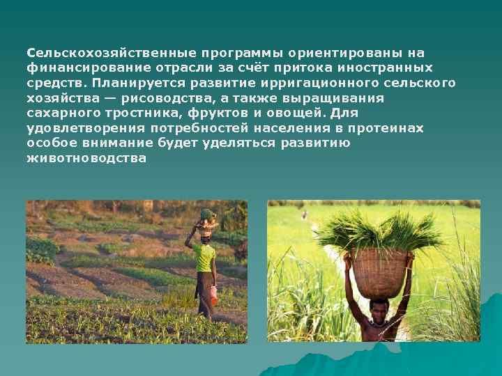 Сельскохозяйственные программы ориентированы на финансирование отрасли за счёт притока иностранных средств. Планируется развитие ирригационного