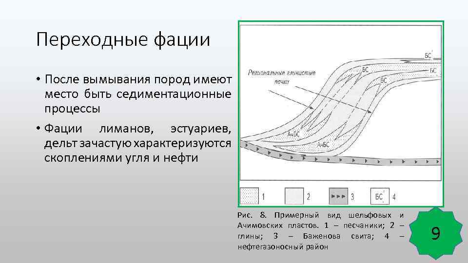 Переходные фации • После вымывания пород имеют место быть седиментационные процессы • Фации лиманов,