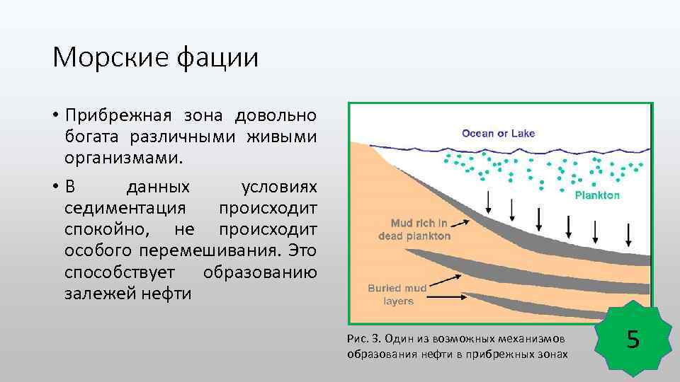 Континентальный газ. Континентальные фации. Прибрежные фации. Прибрежная зона. Морские фации в геологии.