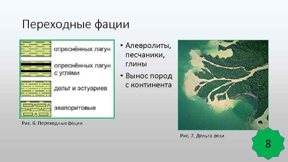 Переходные фации • Алевролиты, песчаники, глины • Вынос пород с континента Рис. 6. Переходные