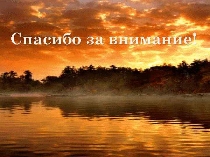 Спасибо за внимание! 