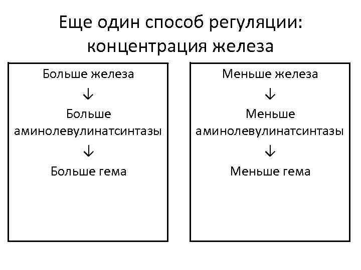 Еще один способ регуляции: концентрация железа Больше железа ↓ Больше аминолевулинатсинтазы ↓ Больше гема