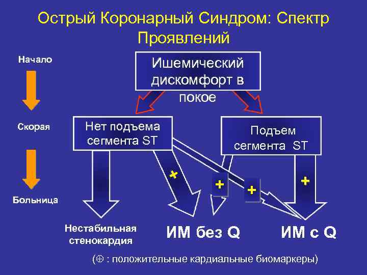 Окс без подъема сегмента клинические рекомендации