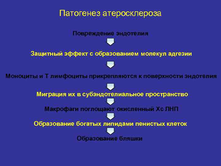 Патогенез атеросклероза Повреждение эндотелия Защитный эффект с образованием молекул адгезии Моноциты и Т лимфоциты