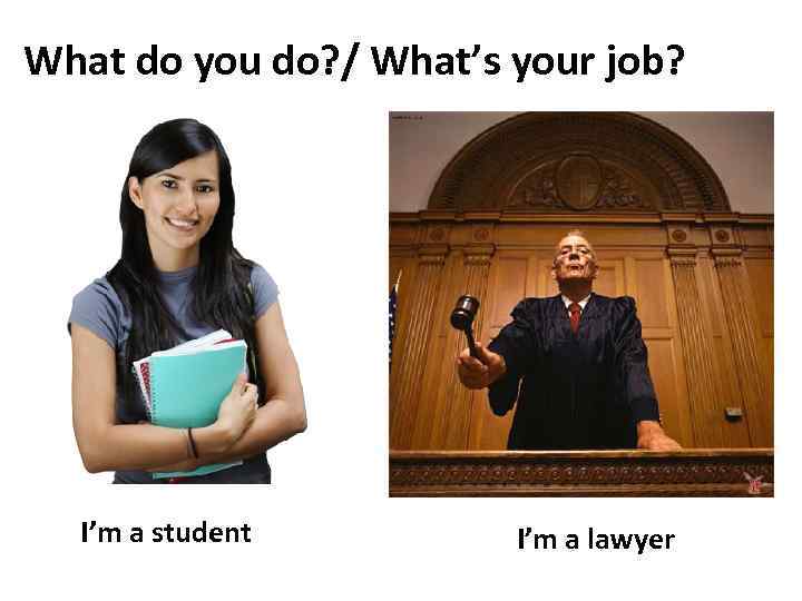 What do you do? / What’s your job? I’m a student I’m a lawyer