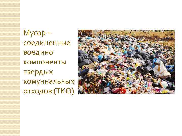 Мусор – соединенные воедино компоненты твердых комуннальных отходов (ТКО) 