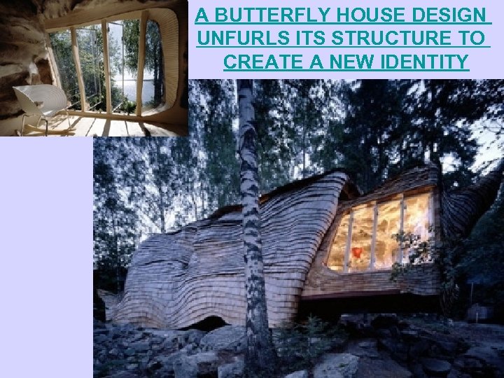A BUTTERFLY HOUSE DESIGN UNFURLS ITS STRUCTURE TO CREATE A NEW IDENTITY 