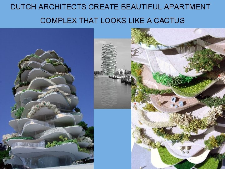 DUTCH ARCHITECTS CREATE BEAUTIFUL APARTMENT COMPLEX THAT LOOKS LIKE A CACTUS 