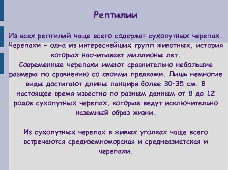 Рептилии Из всех рептилий чаще всего содержат сухопутных черепах. Черепахи – одна из интереснейших