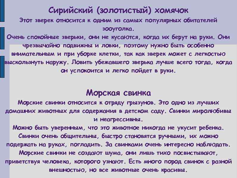 Сирийский (золотистый) хомячок Этот зверек относится к одним из самых популярных обитателей зооуголка. Очень