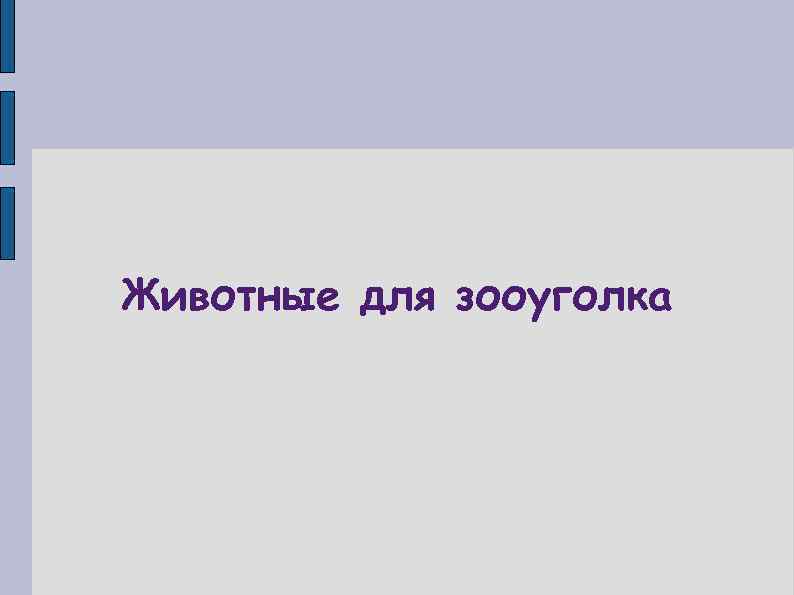 Животные для зооуголка 