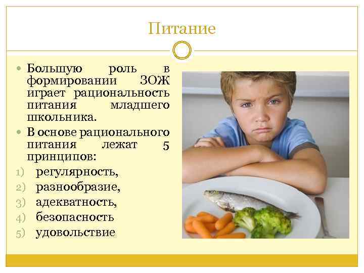 Питание Большую роль в формировании ЗОЖ играет рациональность питания младшего школьника. В основе рационального