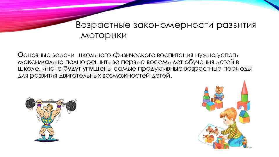 Возрастные закономерности развития моторики Основные задачи школьного физического воспитания нужно успеть максимально полно решить