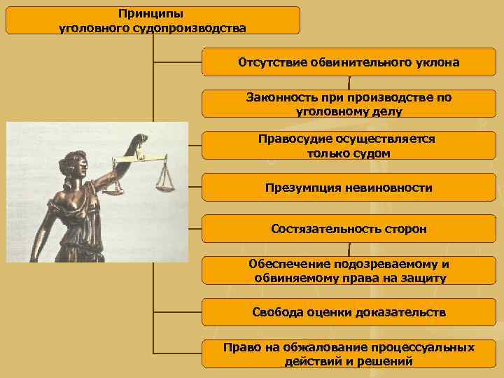 Схема система принципов уголовного судопроизводства