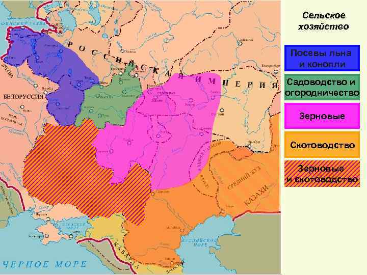 Сельское хозяйство Посевы льна и конопли Садоводство и огородничество Зерновые Скотоводство Зерновые и скотоводство