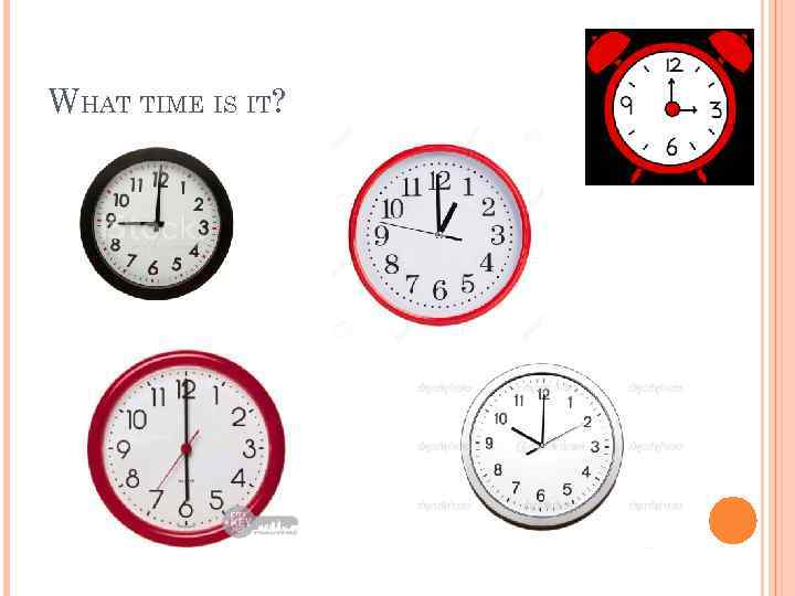 WHAT TIME IS IT? 