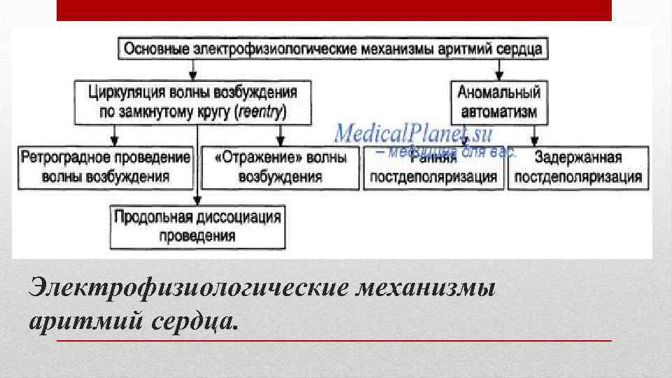 Электрофизиологические механизмы аритмий сердца. 