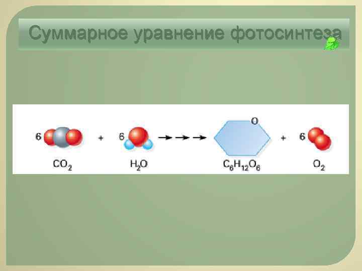 Суммарное уравнение фотосинтеза 