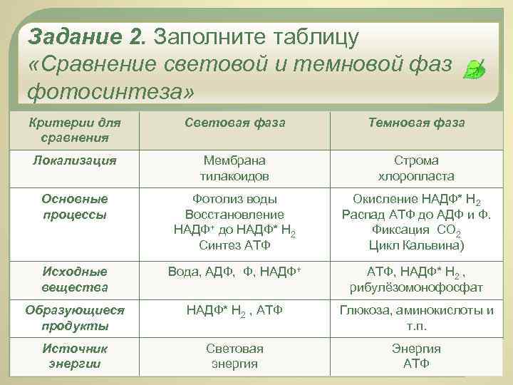 Задание 2. Заполните таблицу «Сравнение световой и темновой фаз фотосинтеза» Критерии для сравнения Световая