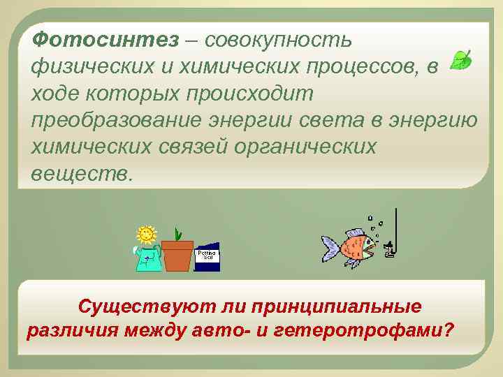 Фотосинтез – совокупность физических и химических процессов, в ходе которых происходит преобразование энергии света