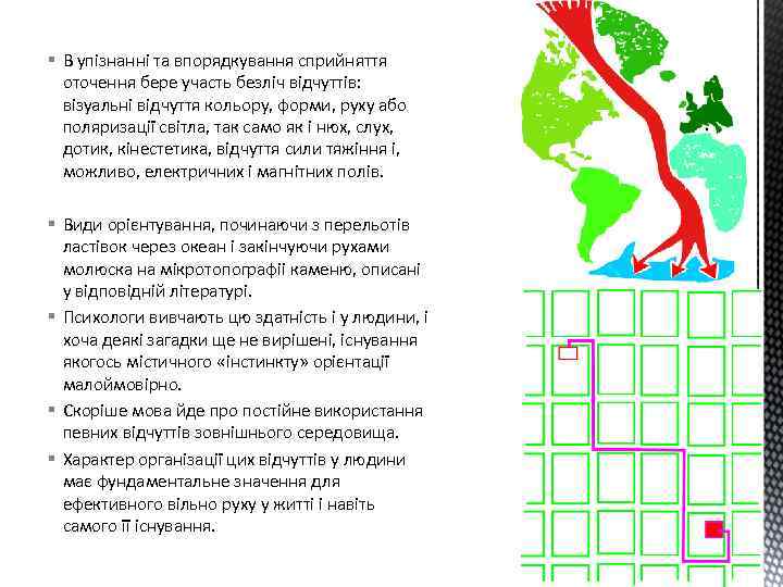 § В упізнанні та впорядкування сприйняття оточення бере участь безліч відчуттів: візуальні відчуття кольору,