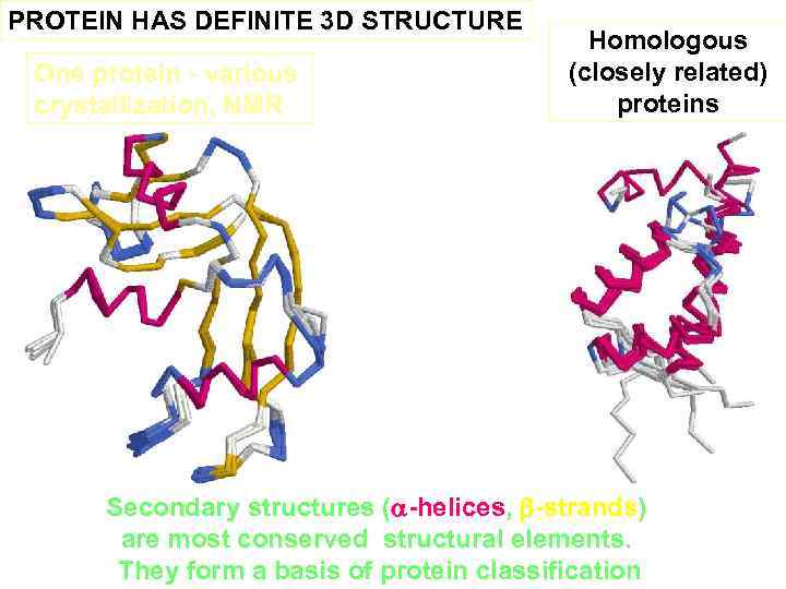 PROTEIN HAS DEFINITE 3 D STRUCTURE One protein - various crystallization, NMR Homologous (closely