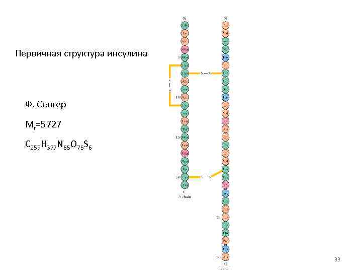 Первичная структура инсулина Ф. Сенгер Mr=5727 С 259 Н 377 N 65 O 75