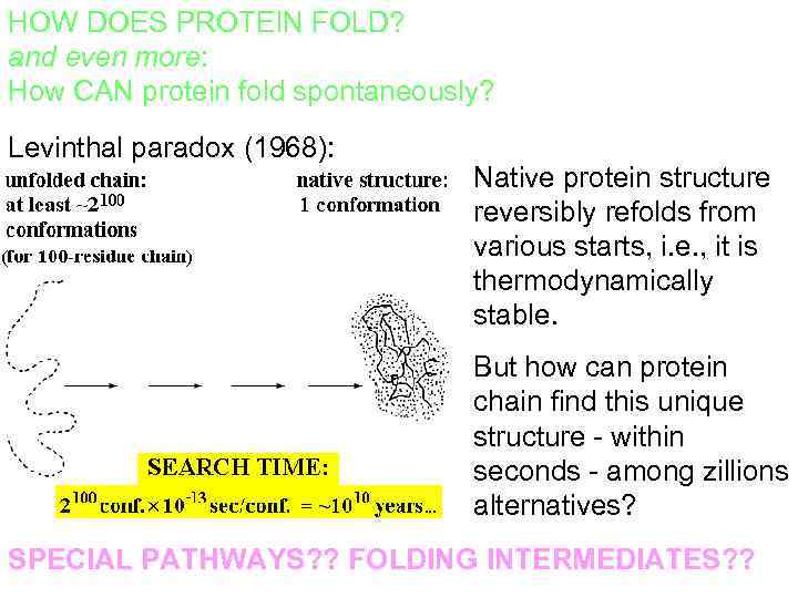 HOW DOES PROTEIN FOLD? and even more: How CAN protein fold spontaneously? Levinthal paradox