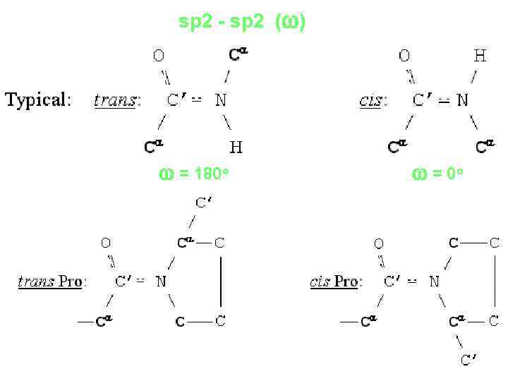 sp 2 - sp 2 (w) w = 180 o w = 0 o