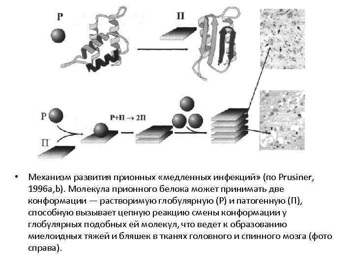 Механизм распространения