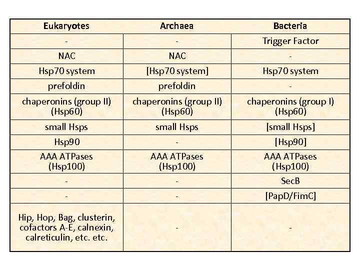 Eukaryotes NAC Hsp 70 system prefoldin Archaea NAC [Hsp 70 system] prefoldin Bacteria Trigger
